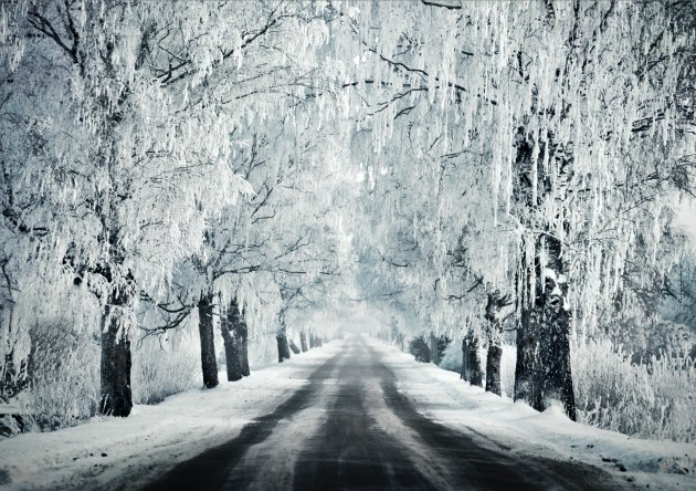 Ceļš cauri ziemai