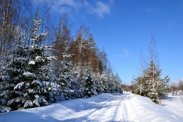 Latvijas baltais ceļš.