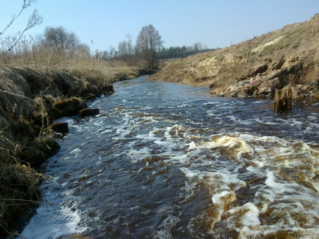 pavasara upīte