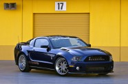 Shelby1
