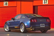 Shelby2