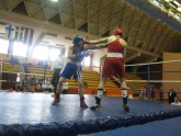 Boxing. Riga Open-2012. Foto - latboxing.lv
