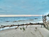 Vakarbuļļu pludmale 2012 - 1
