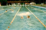 Stropu peldbaseins 1998.gadā - 7