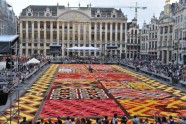 Ziedu paklājs Briselē  - 1