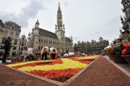 Ziedu paklājs Briselē  - 4