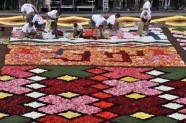 Ziedu paklājs Briselē  - 7