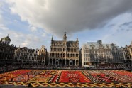 Ziedu paklājs Briselē  - 9