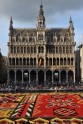 Ziedu paklājs Briselē  - 18