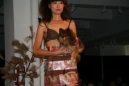 Pet Fashion Week 03