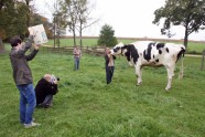 World Record Cow.JPEG-0267c