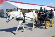 Balticovo 40 gadu jubilejas svinības un zirgs