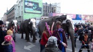 По городу слонов водили - 19