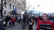 По городу слонов водили - 24
