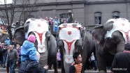 По городу слонов водили - 31