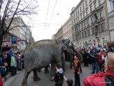 По городу слонов водили - 35