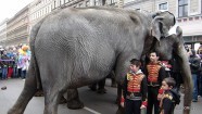 По городу слонов водили - 36