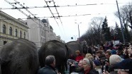 По городу слонов водили - 44