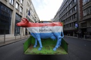 Eiropas piensaimnieki izlej pienu pie ES mītnes Briselē - 17