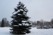 Ventspils sniegā