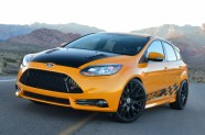 Shelby Ford Fiesta ST