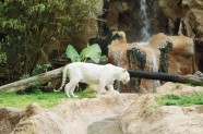 Gran-Canaria-zoo