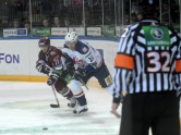 KHL spēle: Rīgas Dinamo - Ņižņijnovgorodas Torpedo - 41