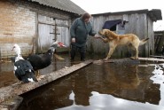Plūdi Blatkrievijā - 9