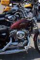 Harley-Davidson mediju brauciens - 5