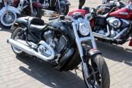 Harley-Davidson mediju brauciens - 10
