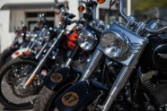 Harley-Davidson mediju brauciens - 49