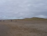 Picture 016