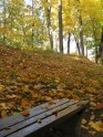 Осенний парк...
