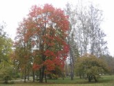 Sigulda-rudenī