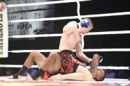 Klondaika Fight Arena - 23