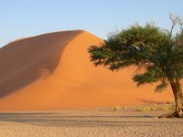 Namibija tuksnesis 2