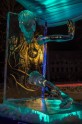 Jelgavas Starptautiskā Ledus skulptūru festivāla darbi - 4