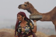 Ikgadējais kamieļu gadatirgus un sacīkstes Puškarā, Indijā - 8