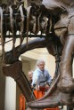 Kā muzejā kopj un tīra pasaulē lielāko dinozauru - 7