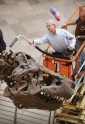 Kā muzejā kopj un tīra pasaulē lielāko dinozauru - 9