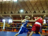 Boxing. Riga Open-2013