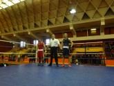 Boxing. Riga Open-2013