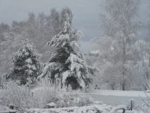 Sniegs Latvijā 6.decembrī - 20