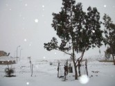 Sniegs Kairā - 3