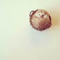 ss-darcy-hedgehog-131218-18.ss_full