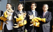 Dienvidkorejā klonēti koijoti (2011. gads)
