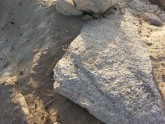  из таких плит ракушечных была построена древняя крепость Ашдод-Ям