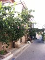  Тель-Авив..Вот так создаются  среди сплошного камня улочек великолепные сады!!