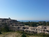  крепости или гавани крестоносцев в Ашкелоне. 2000 до н.э.!!