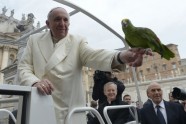 Romas pāvests svētījis papagaili